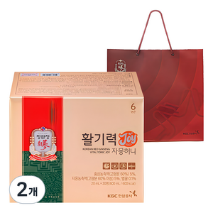 정관장 활기력 JOY, 600ml, 2개