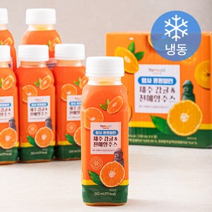 탐사 꽁꽁얼린 제주 감귤 & 천혜향 주스 (냉동), 250ml, 6개