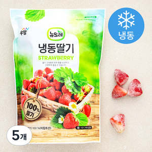 뉴뜨레 이집트산 딸기 홀 (냉동), 1kg, 5개