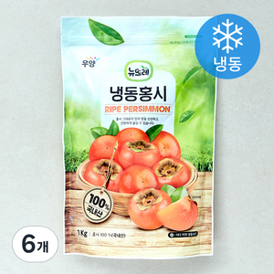 뉴뜨레 냉동홍시 (냉동), 1kg, 6개