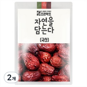 조은약초 자연을 담는다 대추, 700g, 2개