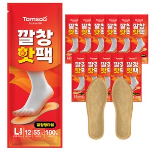 탐사 남성용 깔창 핫팩 L 사이즈 국내생산 2입세트, 10개