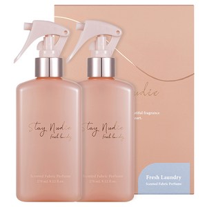 바디홀릭 스테이누디 센티드 대용량 섬유향수 270ml, Fresh Laundry, 2개