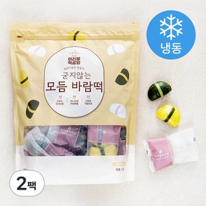 아리울떡공방 굳지않는 모듬 바람떡 (냉동), 2팩, 1.2kg