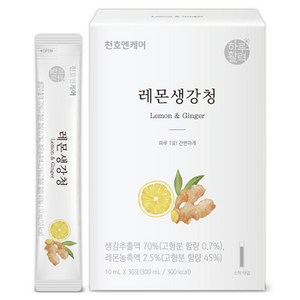 하루활력 레몬생강청, 300ml, 1개