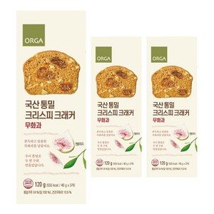 올가홀푸드 통밀 크리스피 크래커 무화과, 120g, 3개