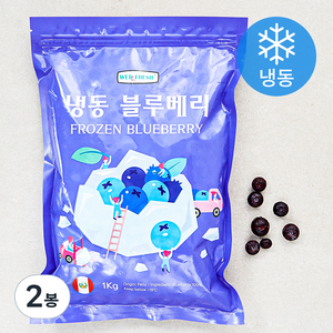 웰프레쉬 냉동 페루산 블루베리 (냉동), 1kg, 2개