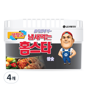 홈스타 냄새먹는 냉장고용 탈취제 참숯, 420g, 4개