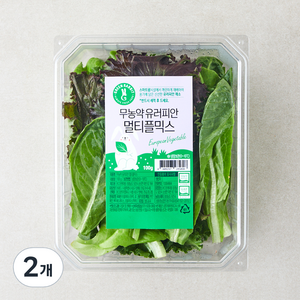 그린래빗 무농약 인증 유러피안 멀티플믹스 샐러드, 100g, 2개