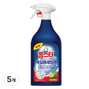 홈스타 욕실청소용 세정제, 5개, 900ml