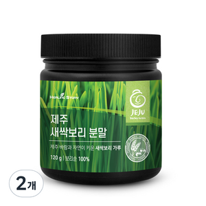 힐링스토리 제주 새싹보리 분말, 2개, 120g