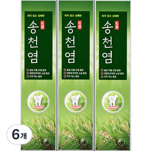 메디안 송천염 치약, 120g, 6개