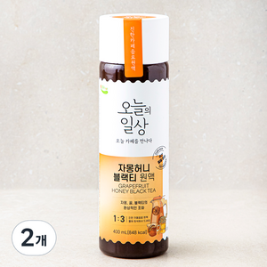 오늘의일상 자몽허니블랙티 원액 400ml, 2개