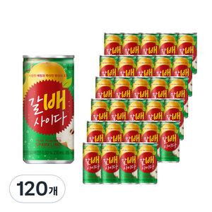 갈배사이다, 210ml, 120개