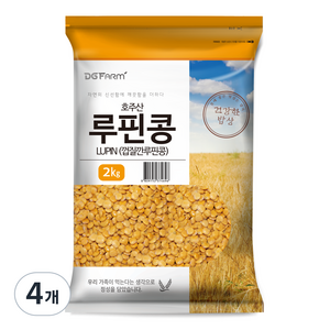 건강한밥상 루핀콩, 2kg, 4개