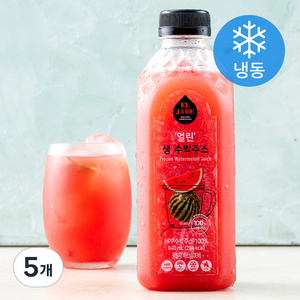 엘제이드 얼린 생 수박주스 (냉동), 840ml, 5개