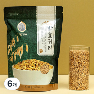 올고진 발효 귀리, 500g, 6개