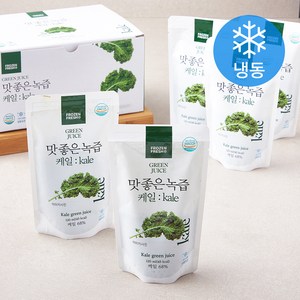 프로즌프레시 맛좋은녹즙 케일 10개입 (냉동), 1.2L, 1개