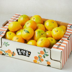 블랙홀 10brix 못난이 감귤, 1박스, 3kg(랜덤과)