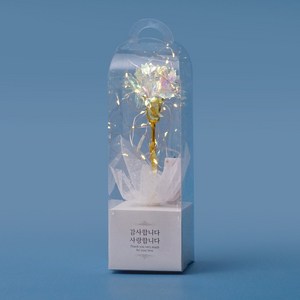 moningscent 조화 반딧불 카네이션 + 조명 세트, 홀로그램, 1세트