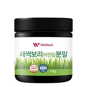 토종마을 Welleat 새싹보리 어린잎분말, 1개, 170g