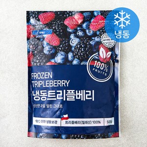 네츄럴웨이 트리플베리 (냉동), 1개, 500g