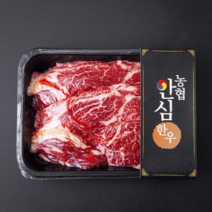 농협안심한우 1등급 등심 구이용 (냉장), 600g, 1개