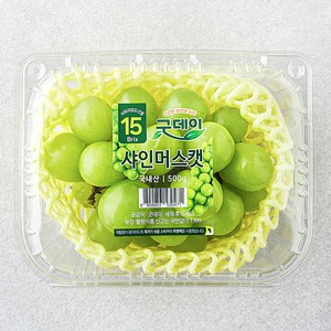 굿데이 당도선별 15bix 비파괴 샤인머스캣, 500g, 1팩