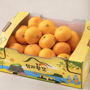 탐라황감 당도선별 감귤 10bix, 2kg(로열과), 1개