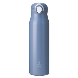 캐리보틀 베이직 텀블러, 스틸블루, 750ml, 1개