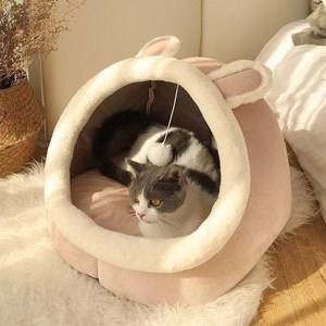 케리빙 고양이 하우스