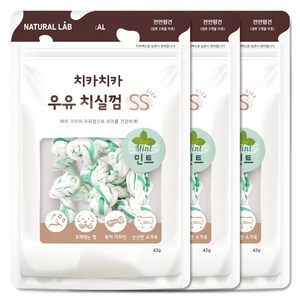 내츄럴랩 치카치카 우유 치실껌 SS 강아지 덴탈껌, 민트, 42g, 3개