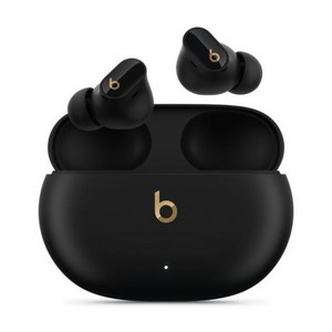 Apple 정품 Beats 스튜디오 버즈 +, MQLH3ZP/A, 블랙 + 골드