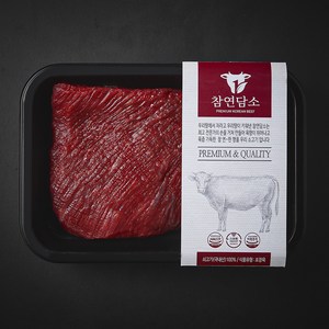 참연담소 국내산 소고기 미절단 양지 국거리용 (냉장), 1개, 300g