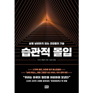 습관적 몰입:삶을 낭비하지 않는 초집중의 기술, 크리스 베일리, 알에이치코리아