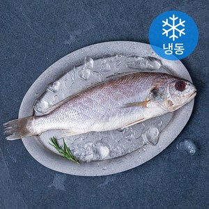 다미원 국내산 손질 백조기 (냉동), 220g, 1개