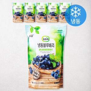 뉴뜨레 페루산 블루베리 (냉동), 1kg, 6개