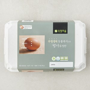 유정마을 동물복지 인증 방사유정란 780g, 1개, 15구