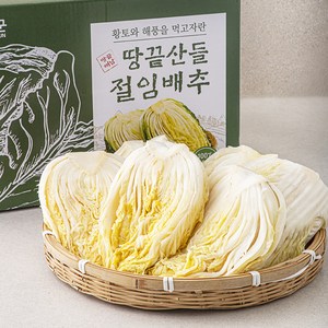 해남 땅끝산들 절임배추, 20kg