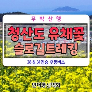 [전남 완도군 청산면] 청산도유채꽃 슬로걷기축제 섬산행 우등버스