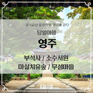 [영주] 6/3 확정★휴식같은힐링여행★ 부석사+소수서원+무섬마을+마실치유숲