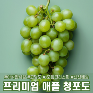 [다정한과일] 초고당도 프리미엄 애플청포도 오톰크리스피, 1세트, 1kg