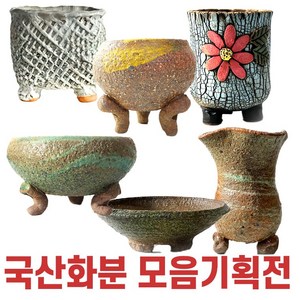 국산 다육이 화분, 25번, 1개