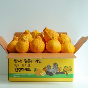 제주 고당도 한라봉 못난이 꼬마 선물용 가정용, 10kg(못난이, 꼬마), 1개