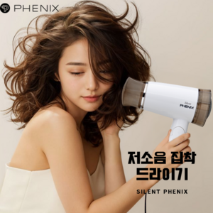 피닉스 가정용 접이식 저소음 드라이기 PD-1200 1200W, (new)화이트