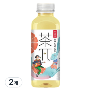 왕부정 중국 음료수 차파이 자몽 재스민차, 2개, 500ml