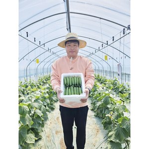 [산지직송 당일발송] 예스팜 미니오이 스낵오이 피클오이 미니오이1.3kg, 1박스, 1.3kg