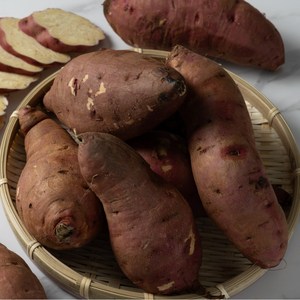 해남 맛장인 밤고구마, 1박스, 10kg 중상