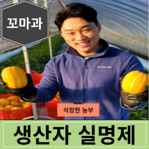 [생산자직송] 고당도 미니 꼬마 성주 참외 3kg 5kg 10kg, 1세트, [가정용] 꼬마과 5kg