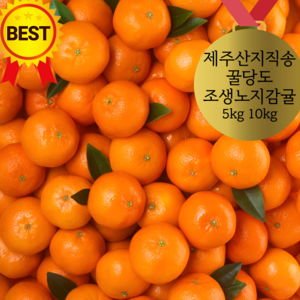 [제주산지직송]꿀당도 서귀포 조생 노지 감귤 5키로 10키로, 1박스, 5kg